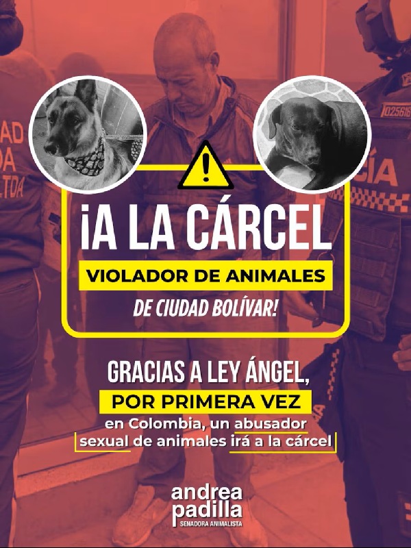 El sindicado fue cobijado con medida de aseguramiento- crédito @andreanimalidad/X