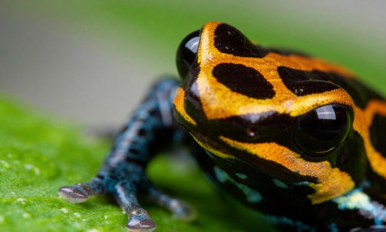 Fotografía: Pexels y glmmes